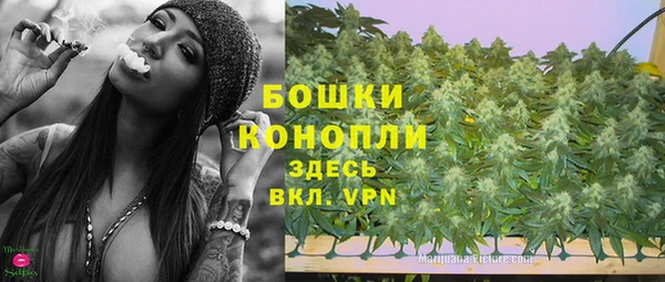 прущая мука Нея